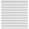 Doppelrollo Hellgrau 145x100 cm Stoffbreite 140,9 cm Polyester