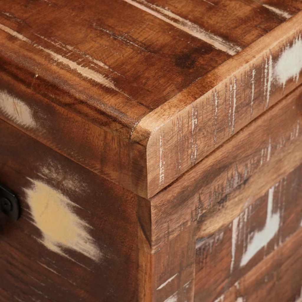 Aufbewahrungsbox mit Speicher mit Tür Braun Massivholz Mango