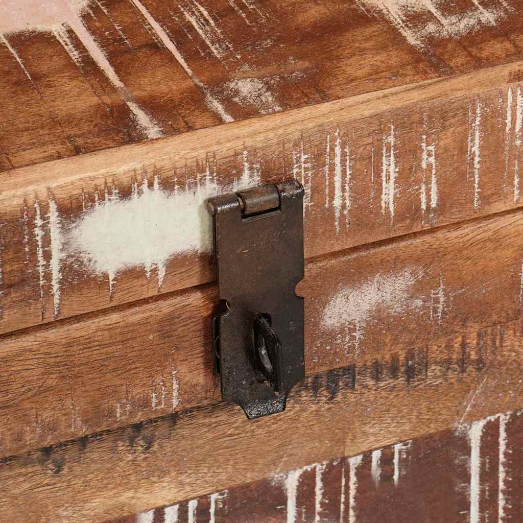 Aufbewahrungsbox mit Speicher mit Tür Braun Massivholz Mango