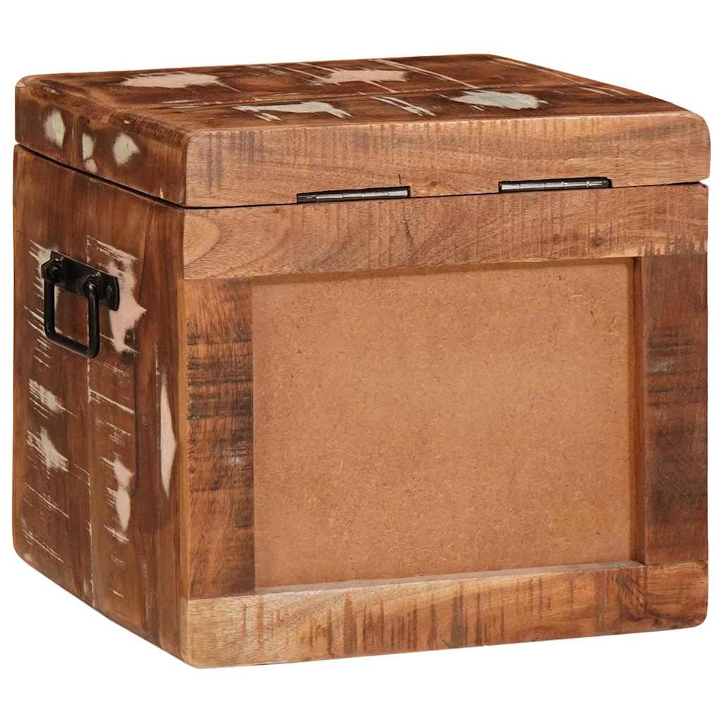 Aufbewahrungsbox mit Speicher mit Tür Braun Massivholz Mango