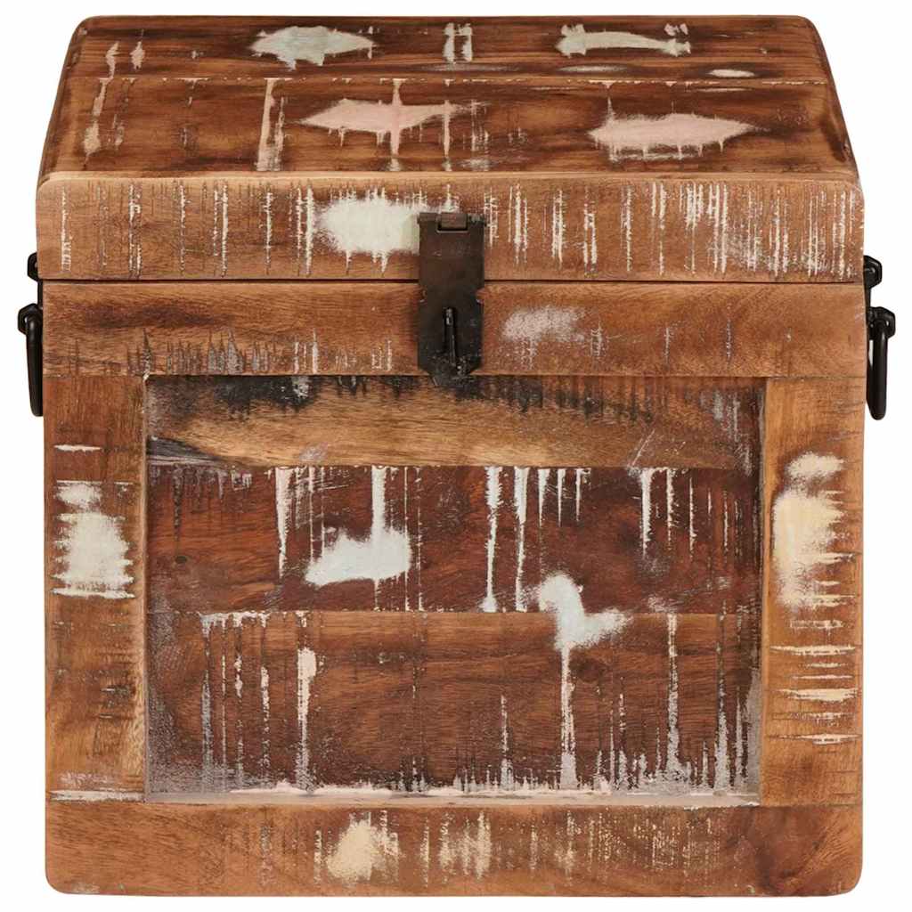 Aufbewahrungsbox mit Speicher mit Tür Braun Massivholz Mango