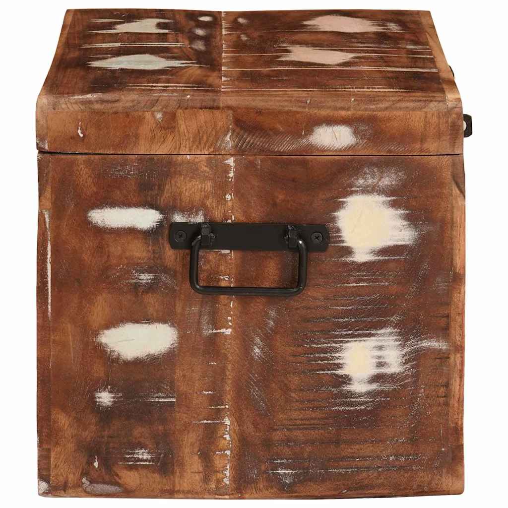 Aufbewahrungsbox mit Speicher mit Tür Braun Massivholz Mango