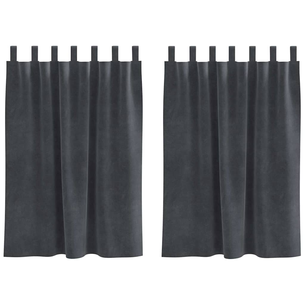 Verdunkelungsvorhänge 2 pcs Hellgrau 140 x 140 cm Samt