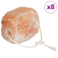 Salzlecksteine Rosa Steinsalz