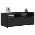TV-Schrank VISNES Schwarz 100x40x38 cm Holzwerkstoff