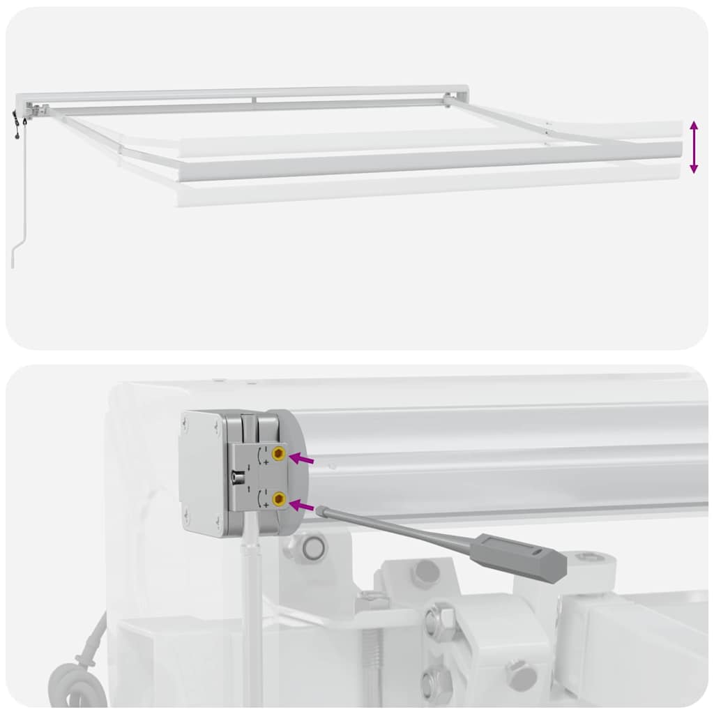 Ausziehbare Markise Mehrfarbig 300 x 250 x 165 cm