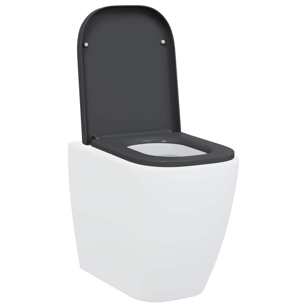 Toilettensitz Anthrazit 47,5 x 35 x 3,6 cm Duroplast