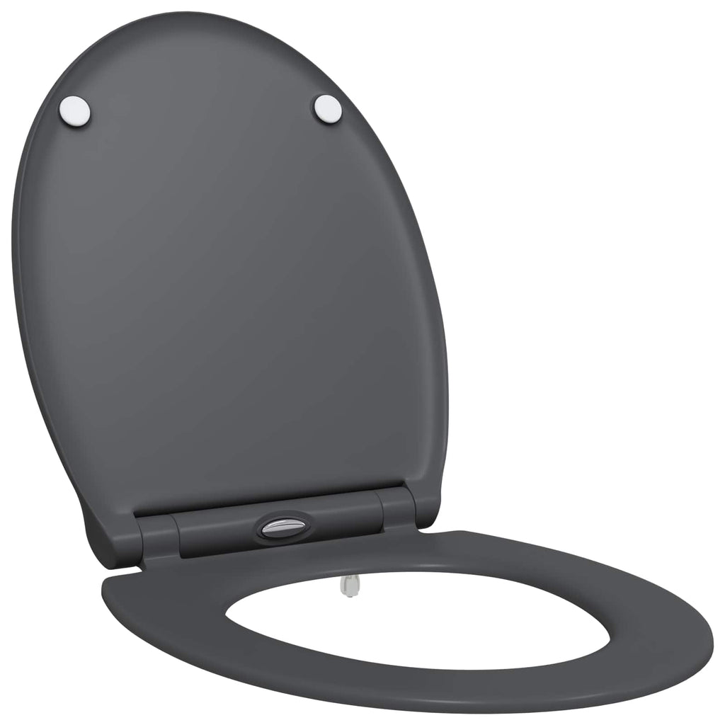 Toilettensitz Anthrazit 47 x 37,5 x 3,8 cm Duroplast