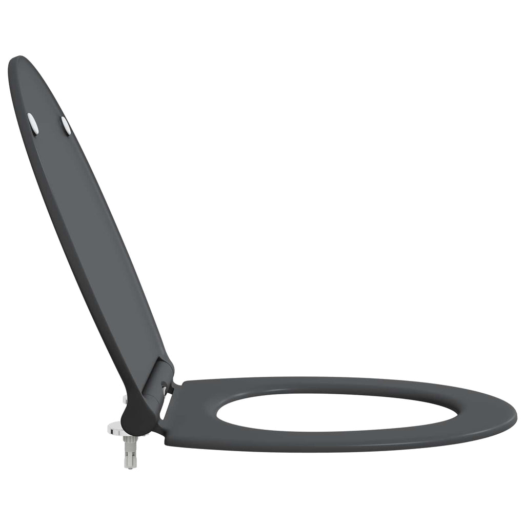 Toilettensitz Anthrazit 47 x 37,5 x 3,8 cm Duroplast