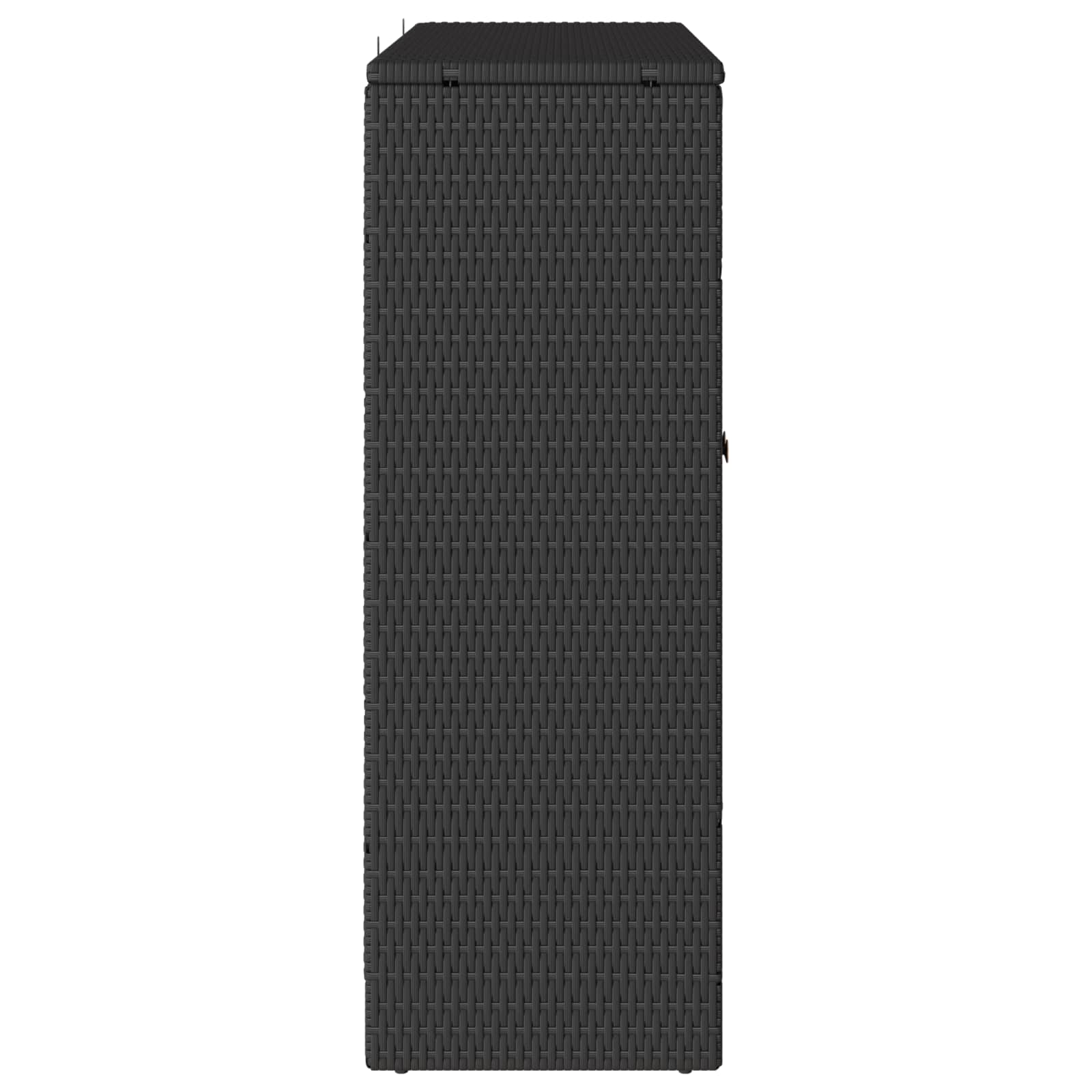 Aufbewahrungsschrank mit Regal Schwarz 100 x 36 x 102 cm Rattan