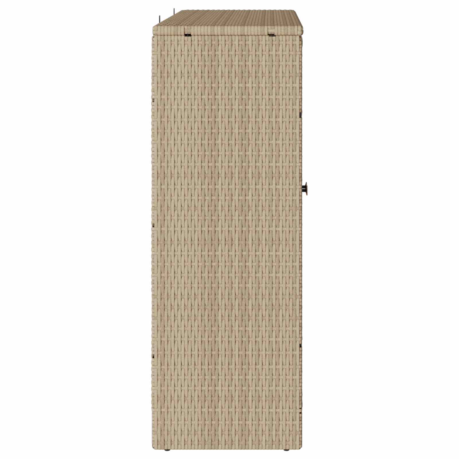 Aufbewahrungsschrank mit Regal Beige 100 x 36 x 102 cm Rattan