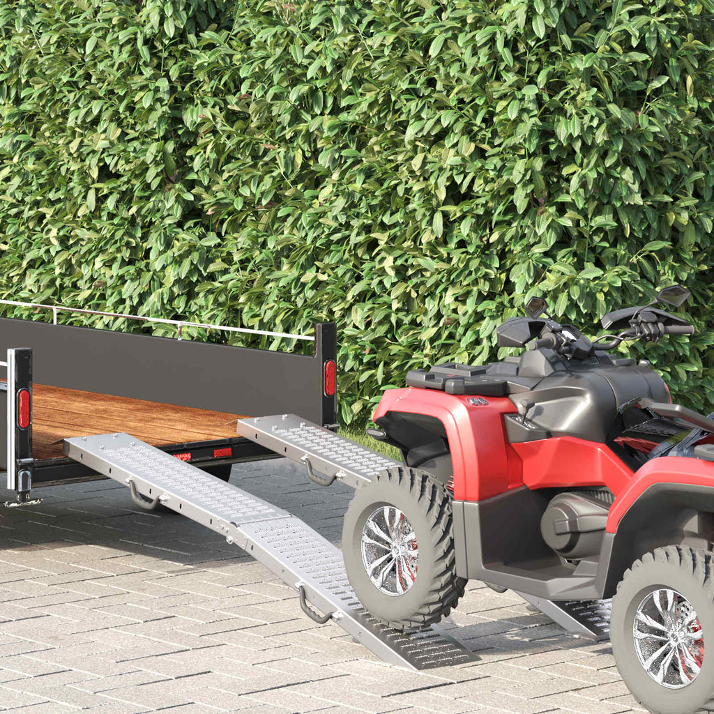 Faltbare Rampe 200kg pro Rampe 2 pcs Silber 166 x 23 x 4,5 cm