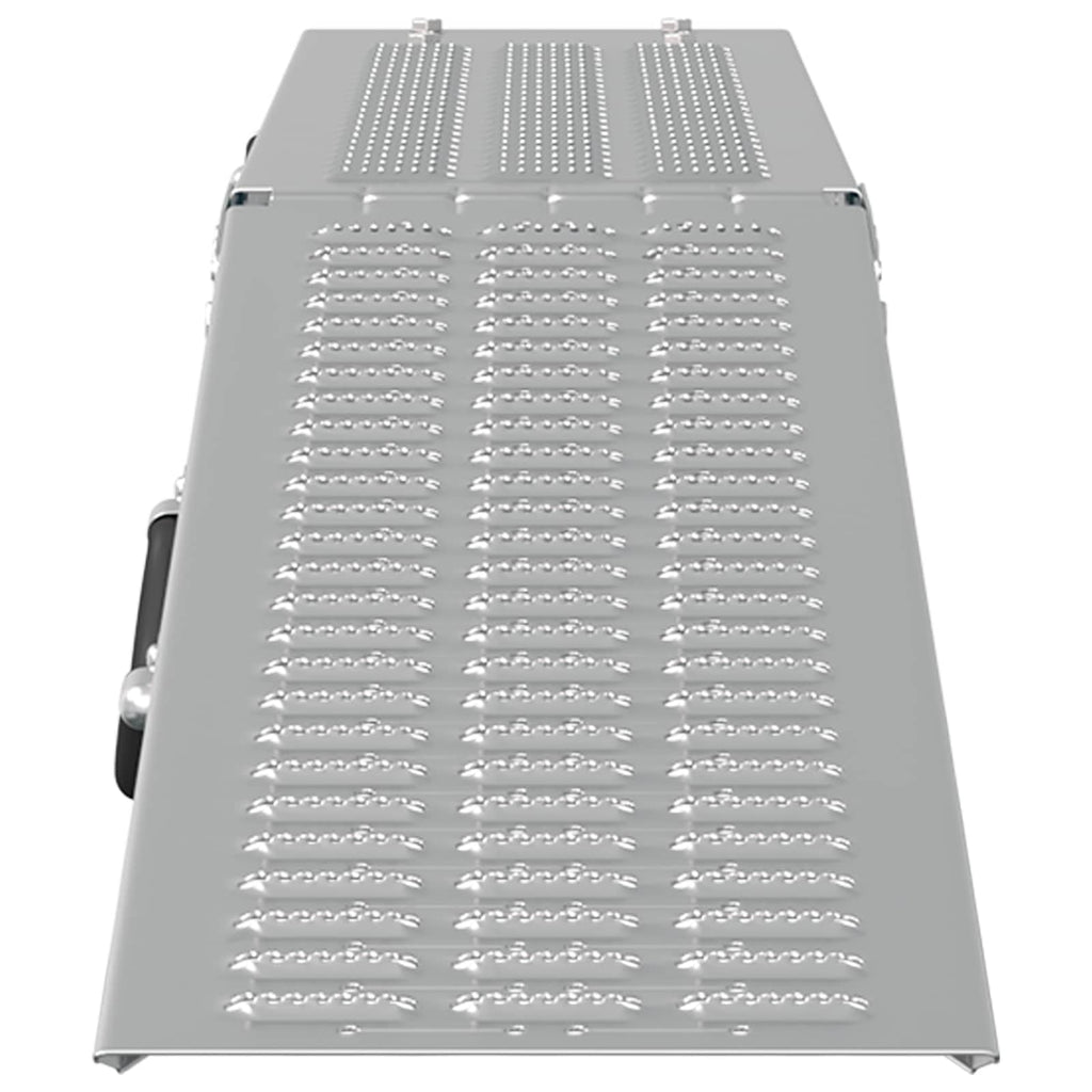 Faltbare Rampe 200kg pro Rampe 2 pcs Silber 166 x 23 x 4,5 cm