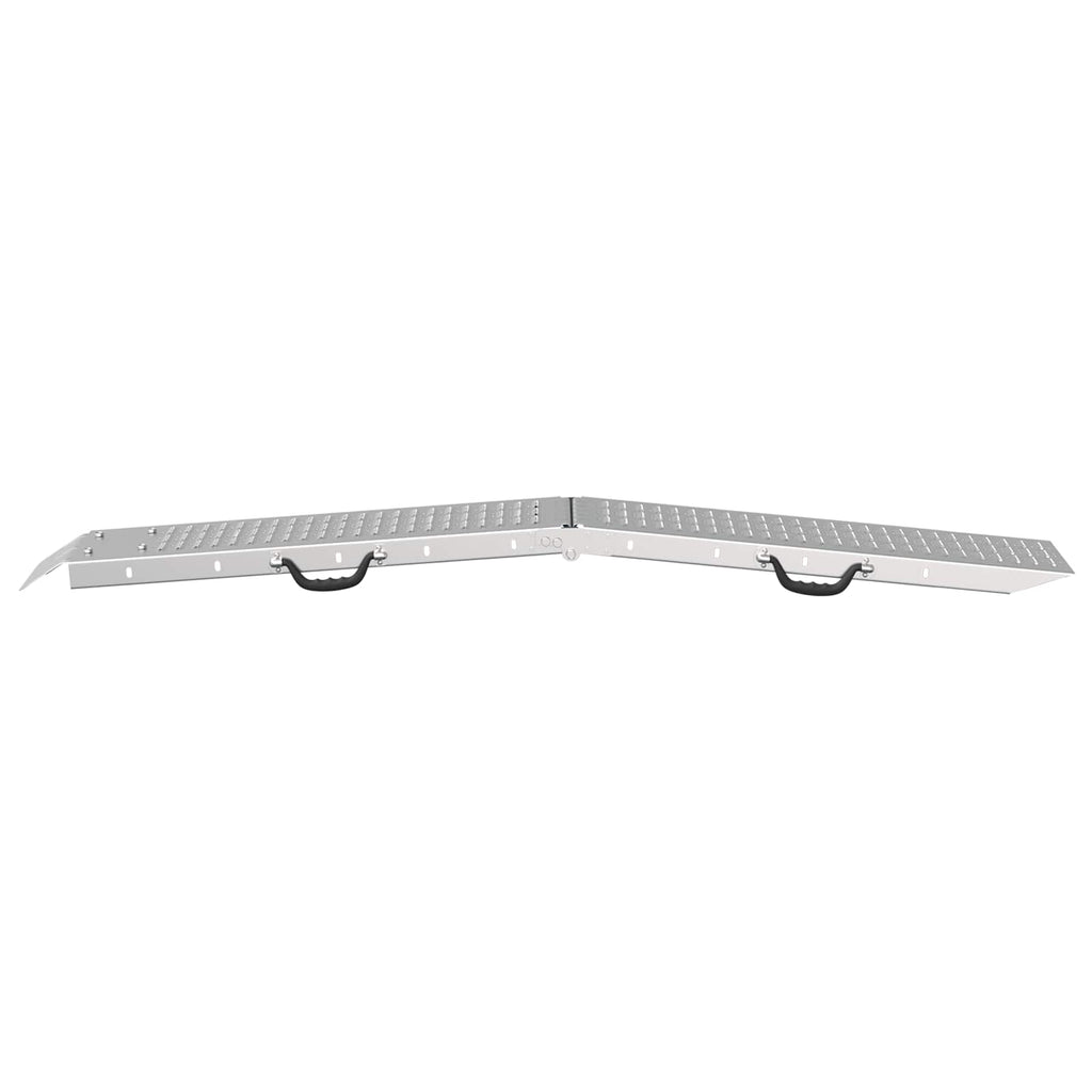 Faltbare Rampe 200kg pro Rampe 2 pcs Silber 166 x 23 x 4,5 cm