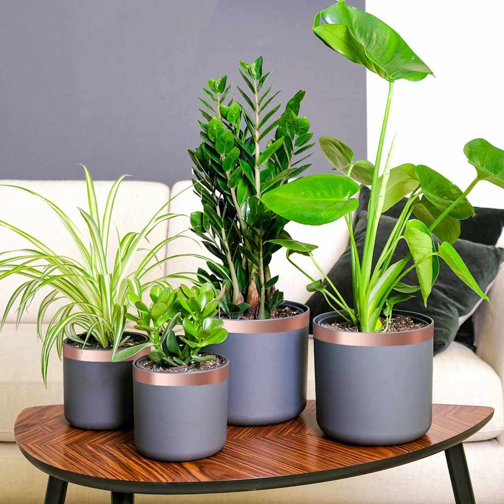 Kupferband zum Schneckenschutz 6 pcs Kupfer 30 mm x 20 m Kupfer