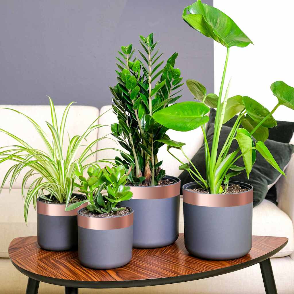 Kupferband zum Schneckenschutz 6 pcs Kupfer 50 mm x 20 m Kupfer