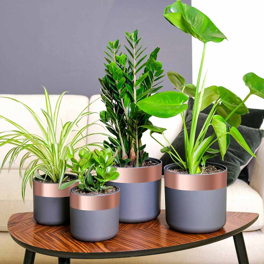 Kupferband zum Schneckenschutz 6 pcs Kupfer 70 mm x 20 m Kupfer