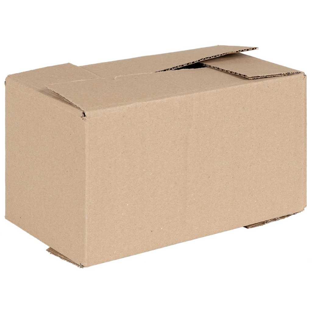 Faltbox mit Speicher 50 pcs Natur 24 x 13 x 13 cm Karton