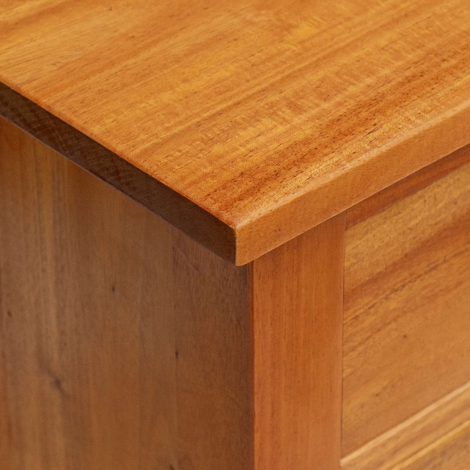 TV-Schränk Natur 100 x 40,5 x 46 cm Massives Mahagoni Holz