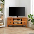 TV-Schränk Natur 100 x 40,5 x 46 cm Massives Mahagoni Holz