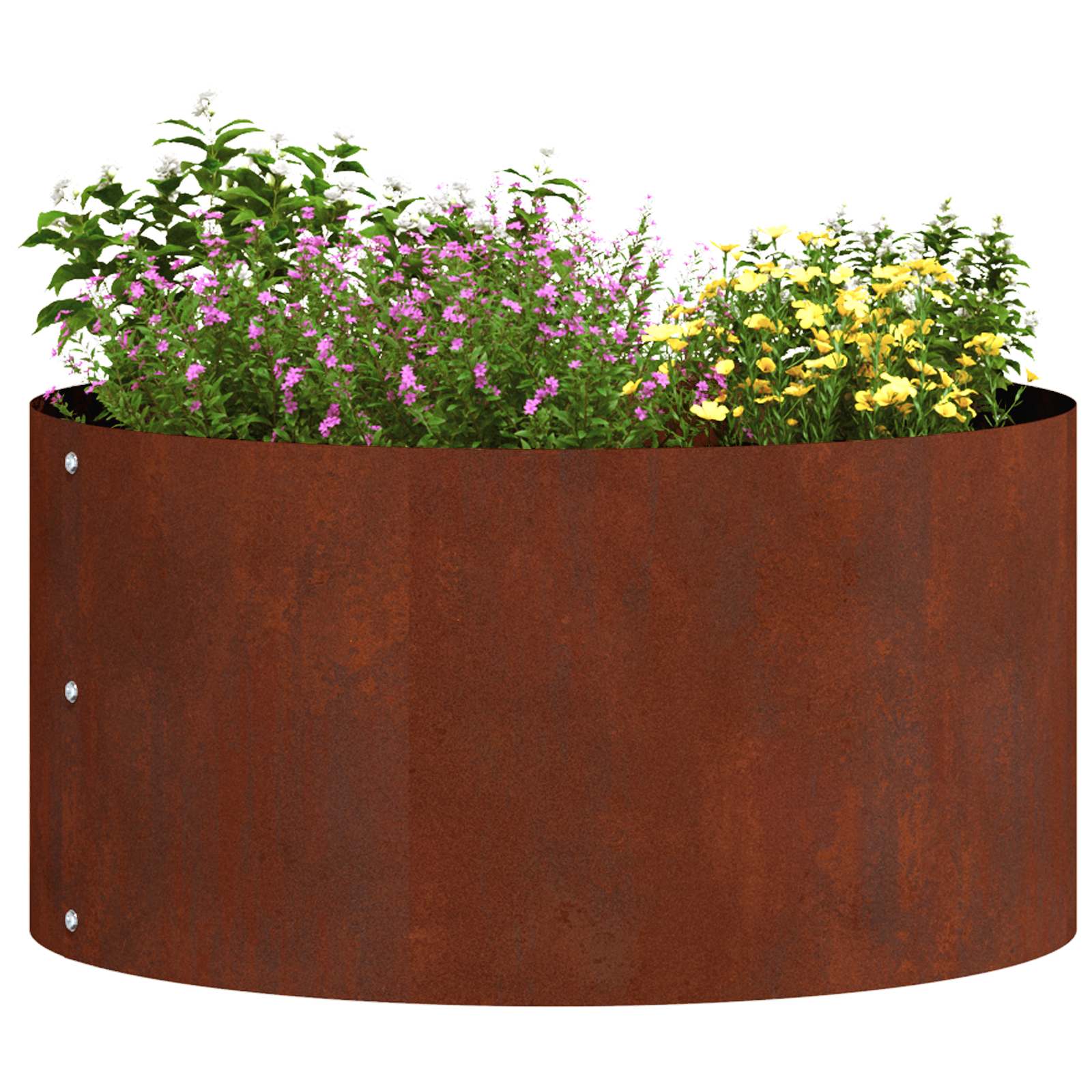 Pflanzenring 5 pcs Braun 40 x 40 x 20 cm Wetterfeststahl