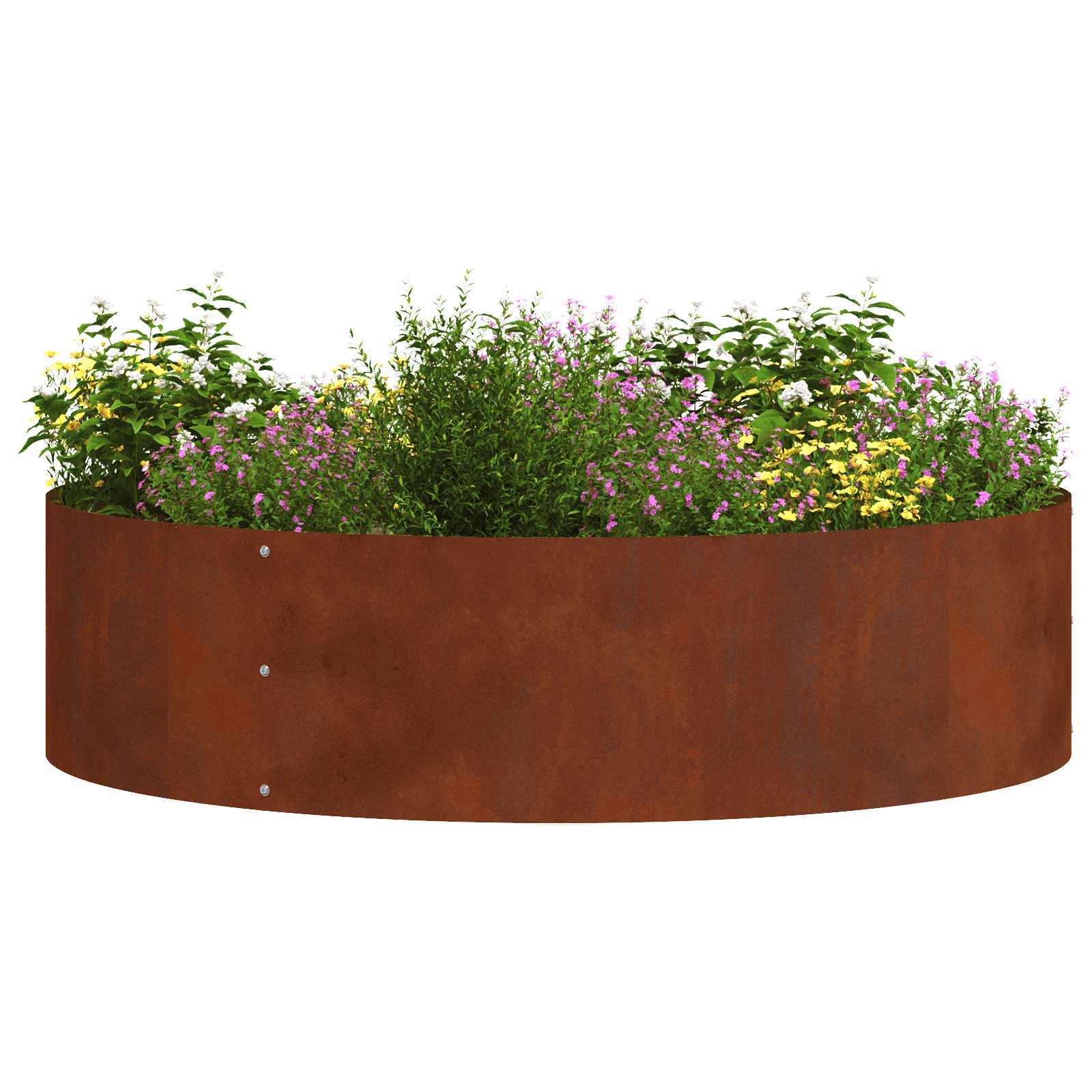 Pflanzenring 5 pcs Braun 80 x 80 x 20 cm Wetterfeststahl