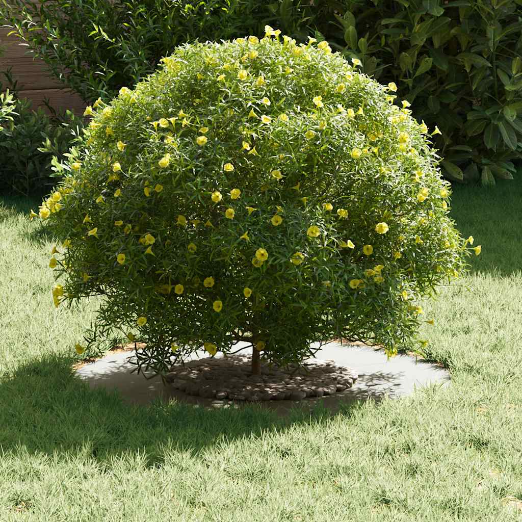 geeignet für flache Baumringe 5 pcs Weiß Ø30 / 60 cm Stahl