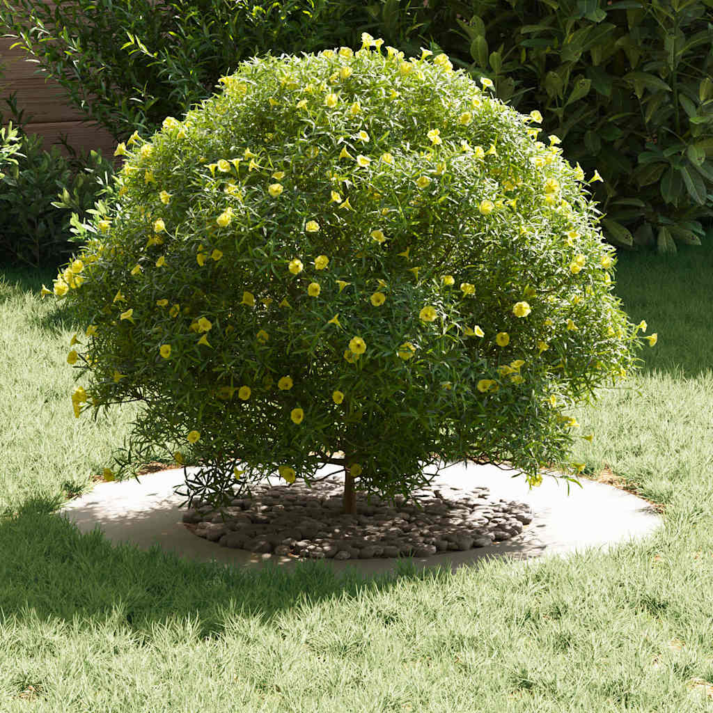 geeignet für flache Baumringe 5 pcs Weiß Ø40 / 70 cm Stahl