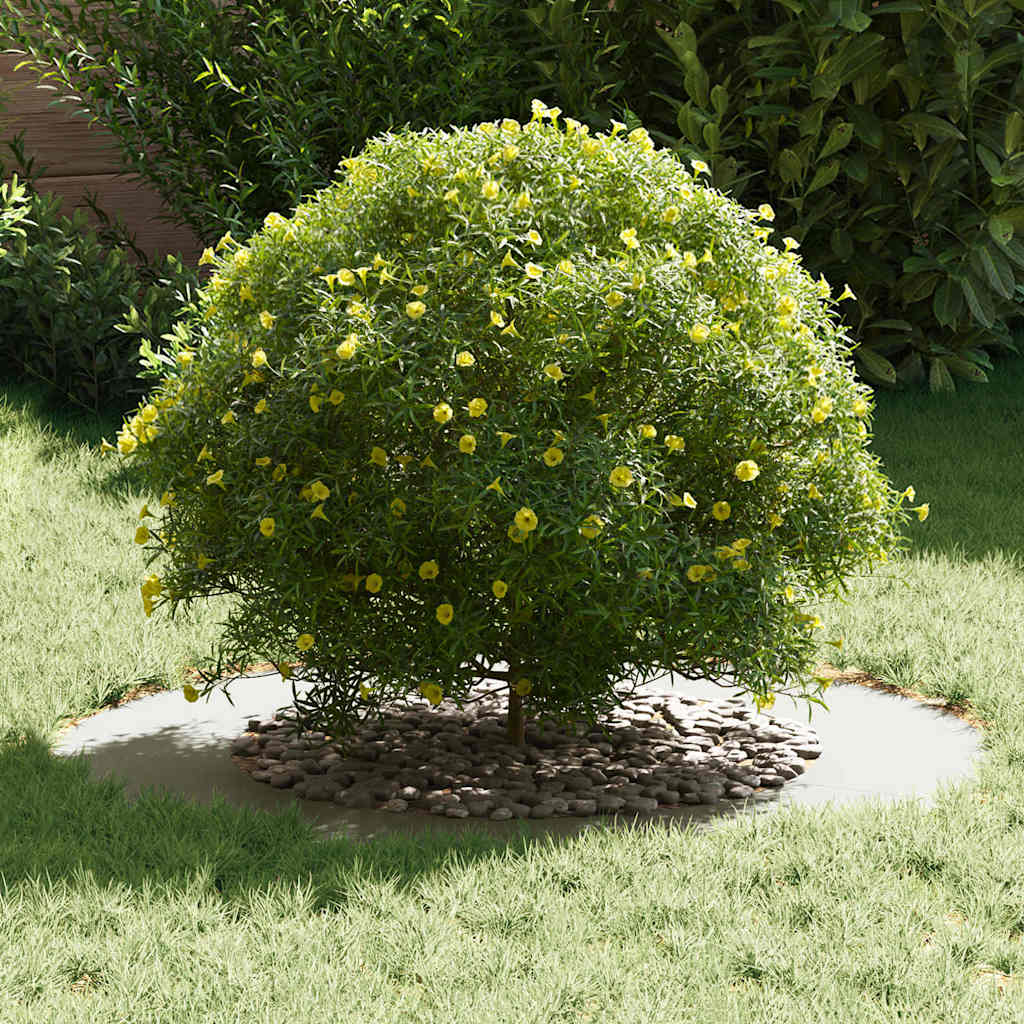 geeignet für flache Baumringe 5 pcs Weiß Ø50 / 80 cm Stahl