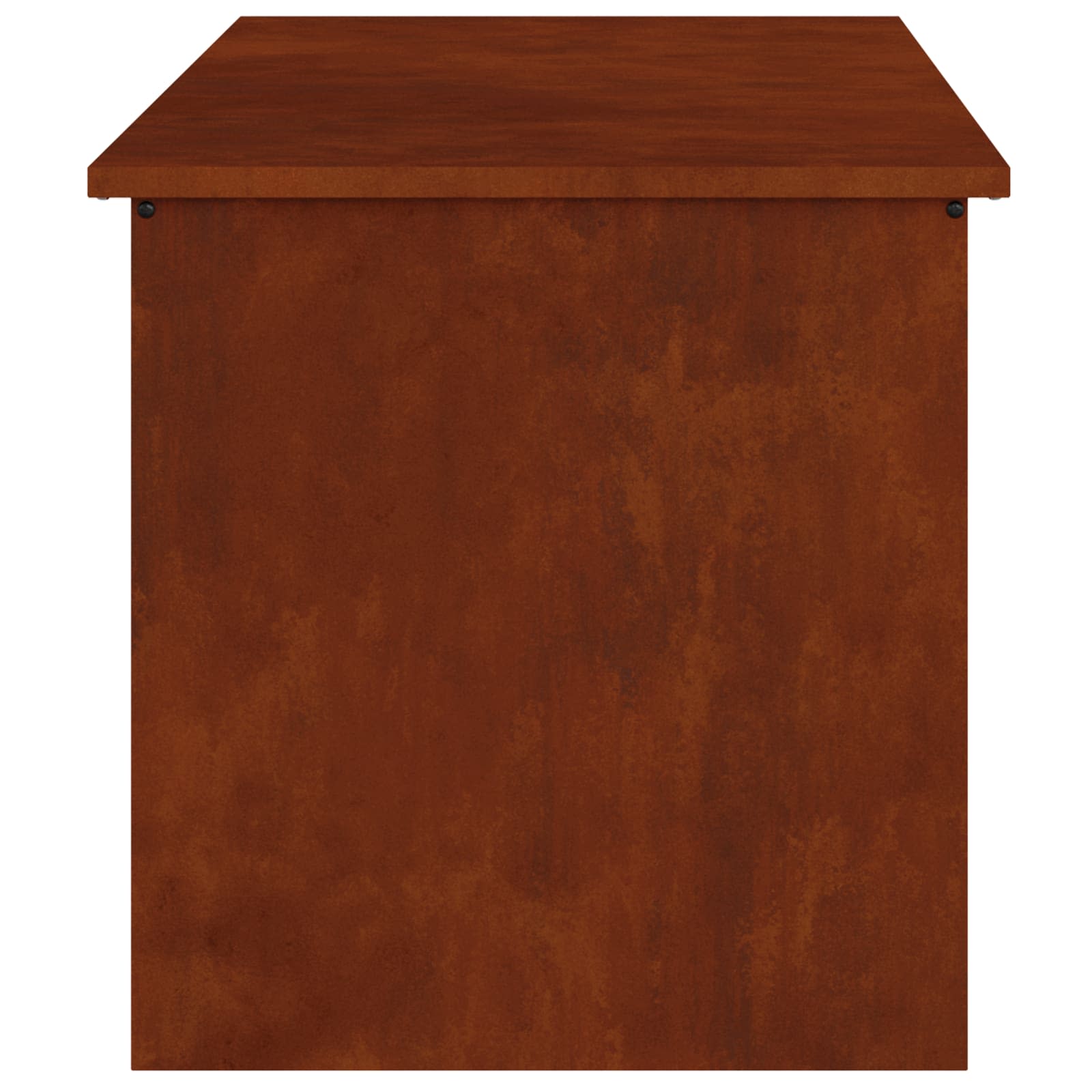Gartenlagerkissenbox Stahl 100 x 50,5 x 50 cm 220 Rostig