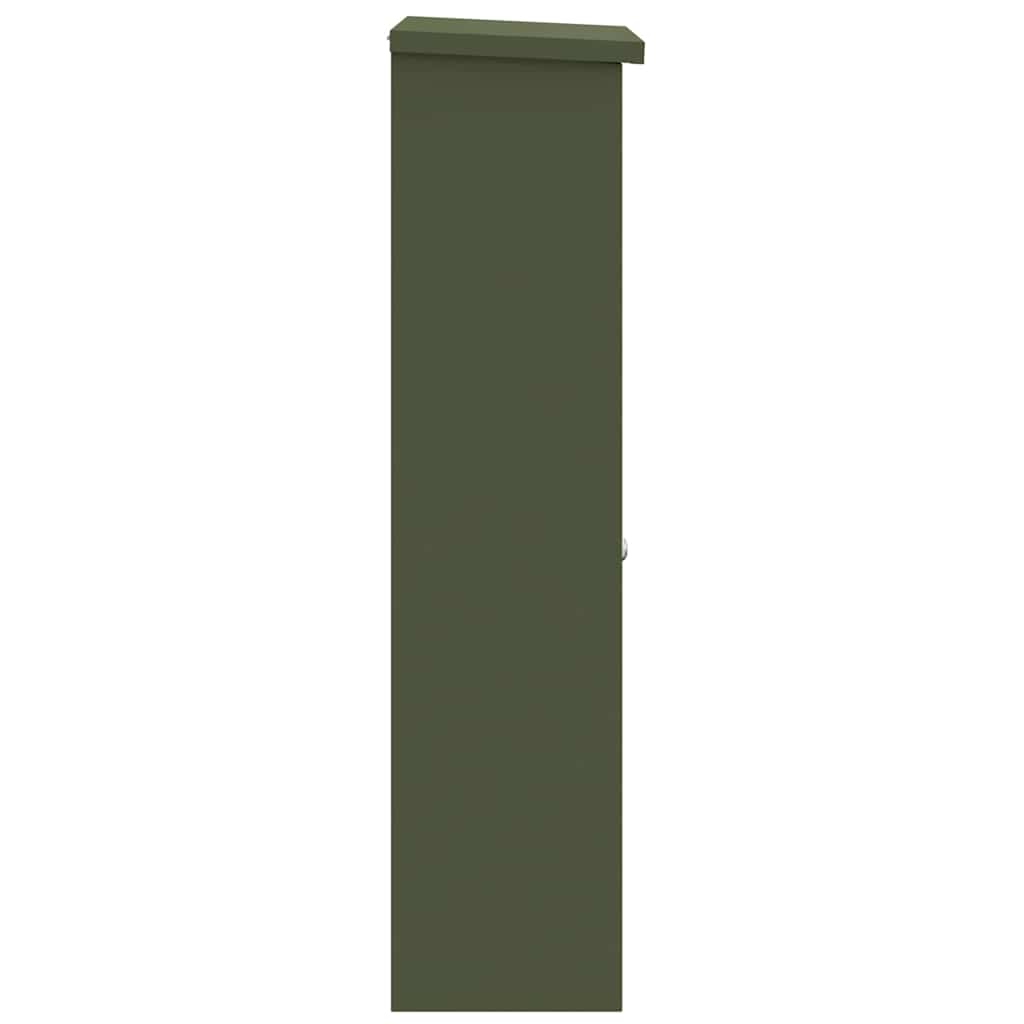 Paketdrop-Box mit Speicher Olivgrün 44,5 x 29 x 110,5 cm Stahl
