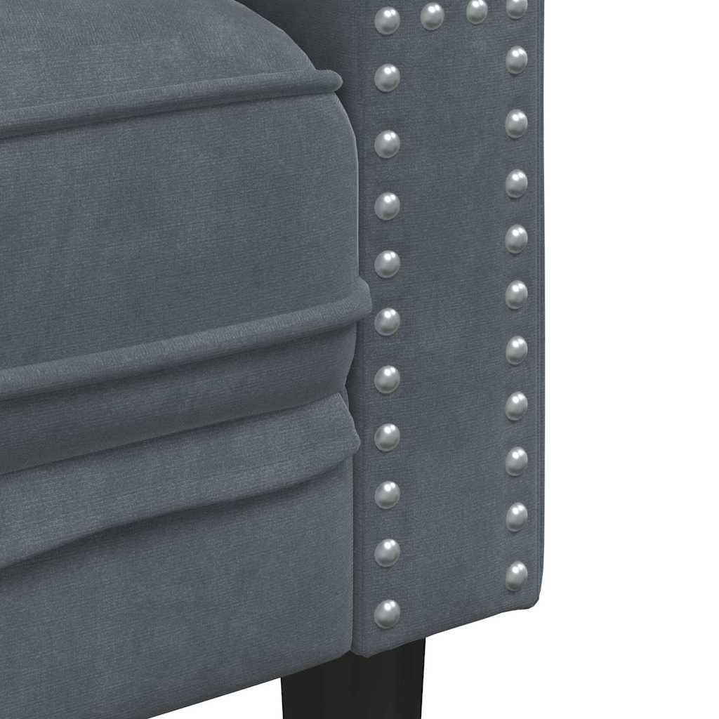 Wohnzimmer Couch 2 pcs Dunkelgrau 194 x 74,5 x 70,5 cm Samt