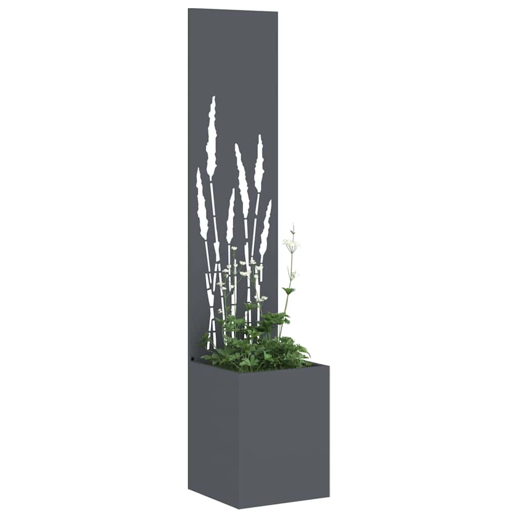Garten Sichtschutz-Leinwand Anthrazit 32 x 150 cm