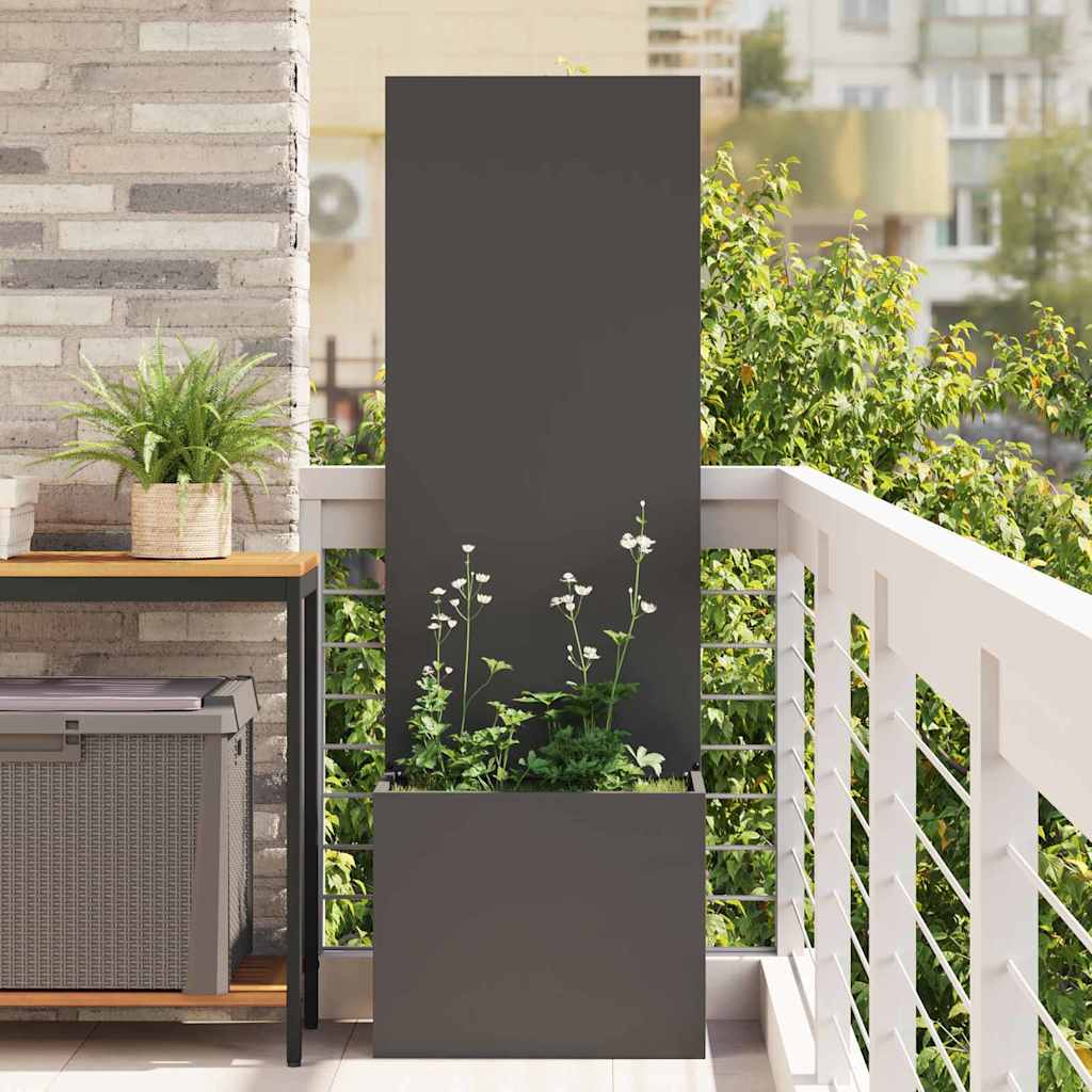 Garten Sichtschutz-Leinwand Schwarz 50 x 150 cm