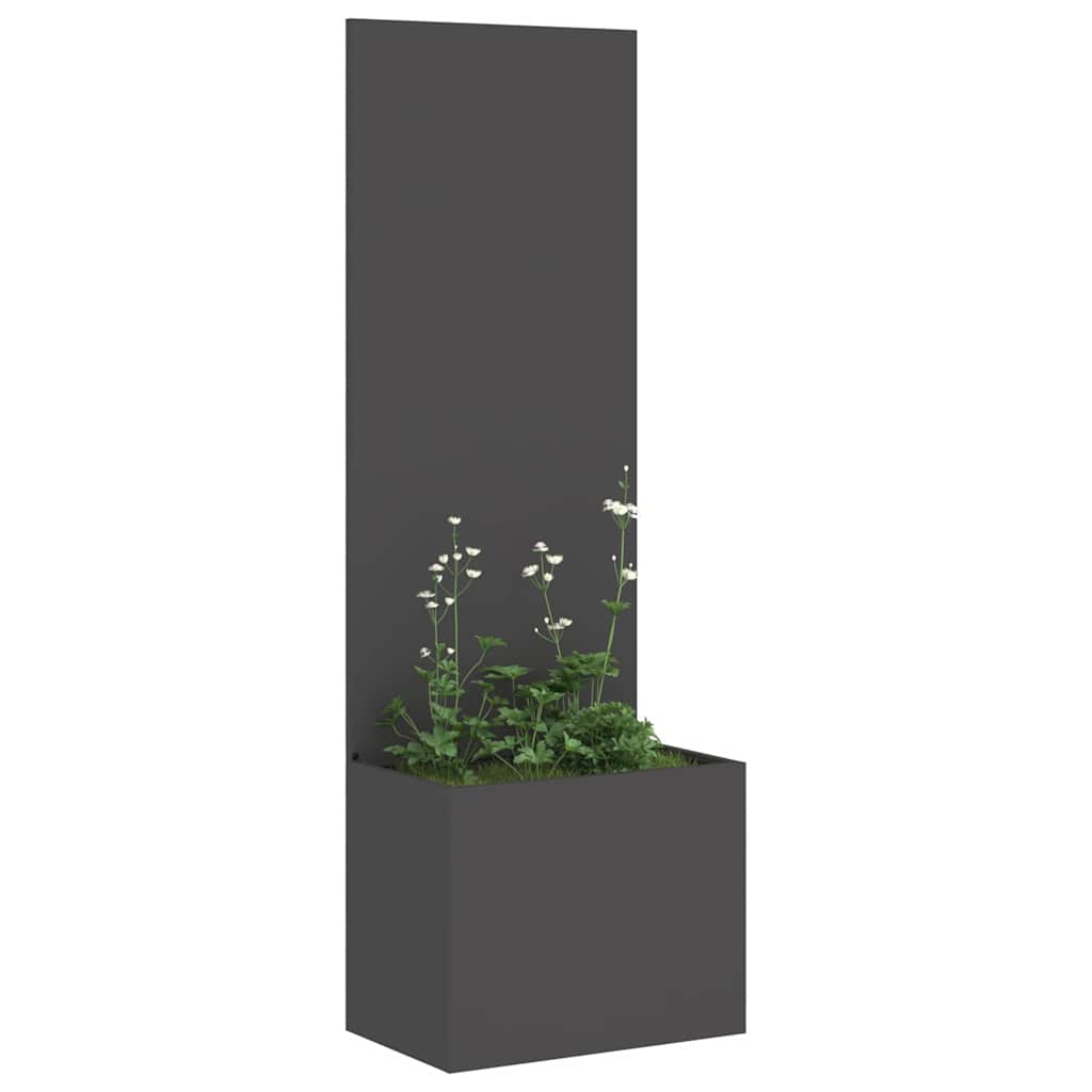Garten Sichtschutz-Leinwand Schwarz 50 x 150 cm