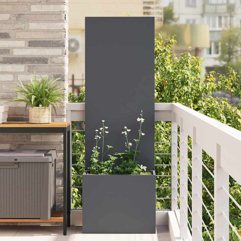 Garten Sichtschutz-Leinwand Anthrazit 50 x 150 cm