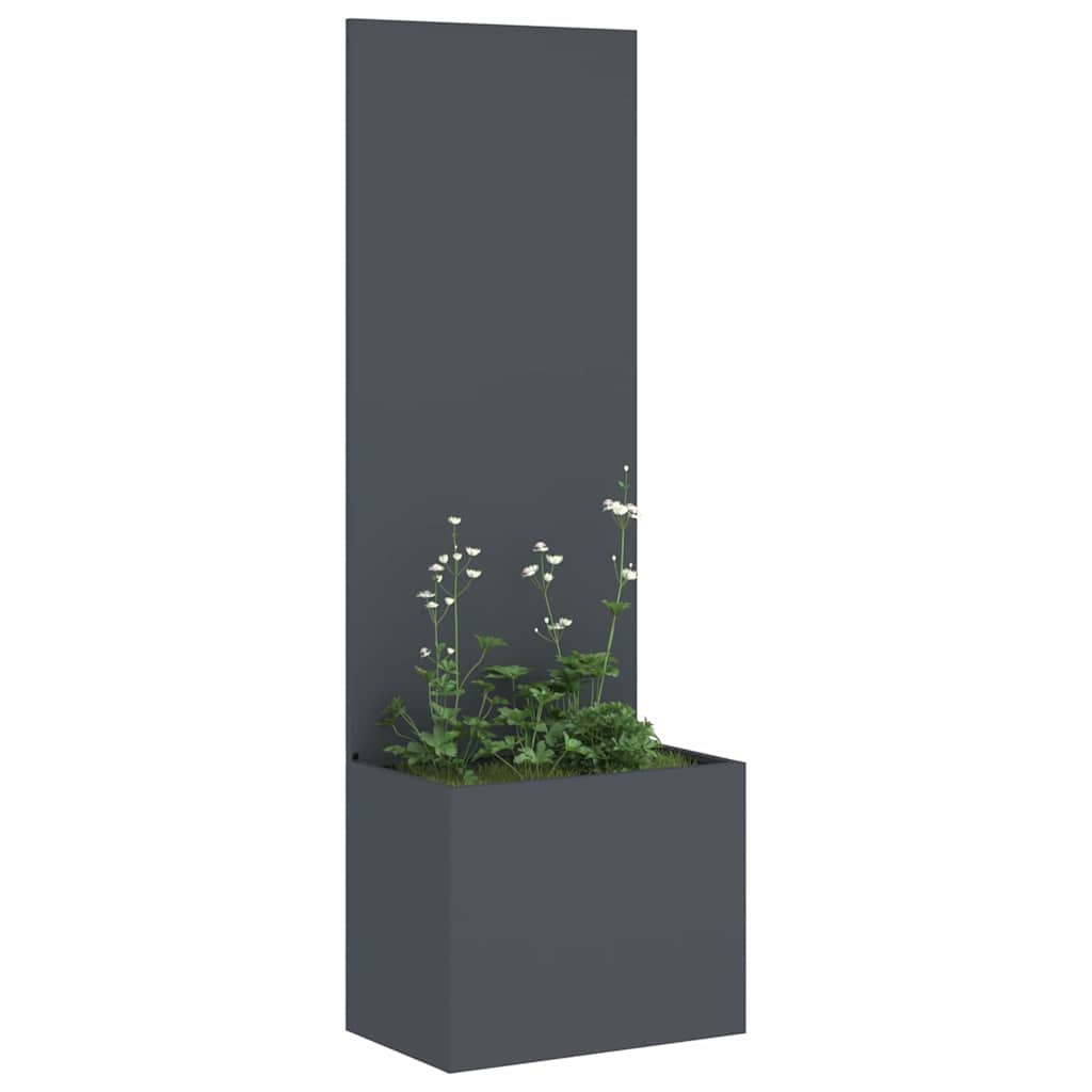 Garten Sichtschutz-Leinwand Anthrazit 50 x 150 cm