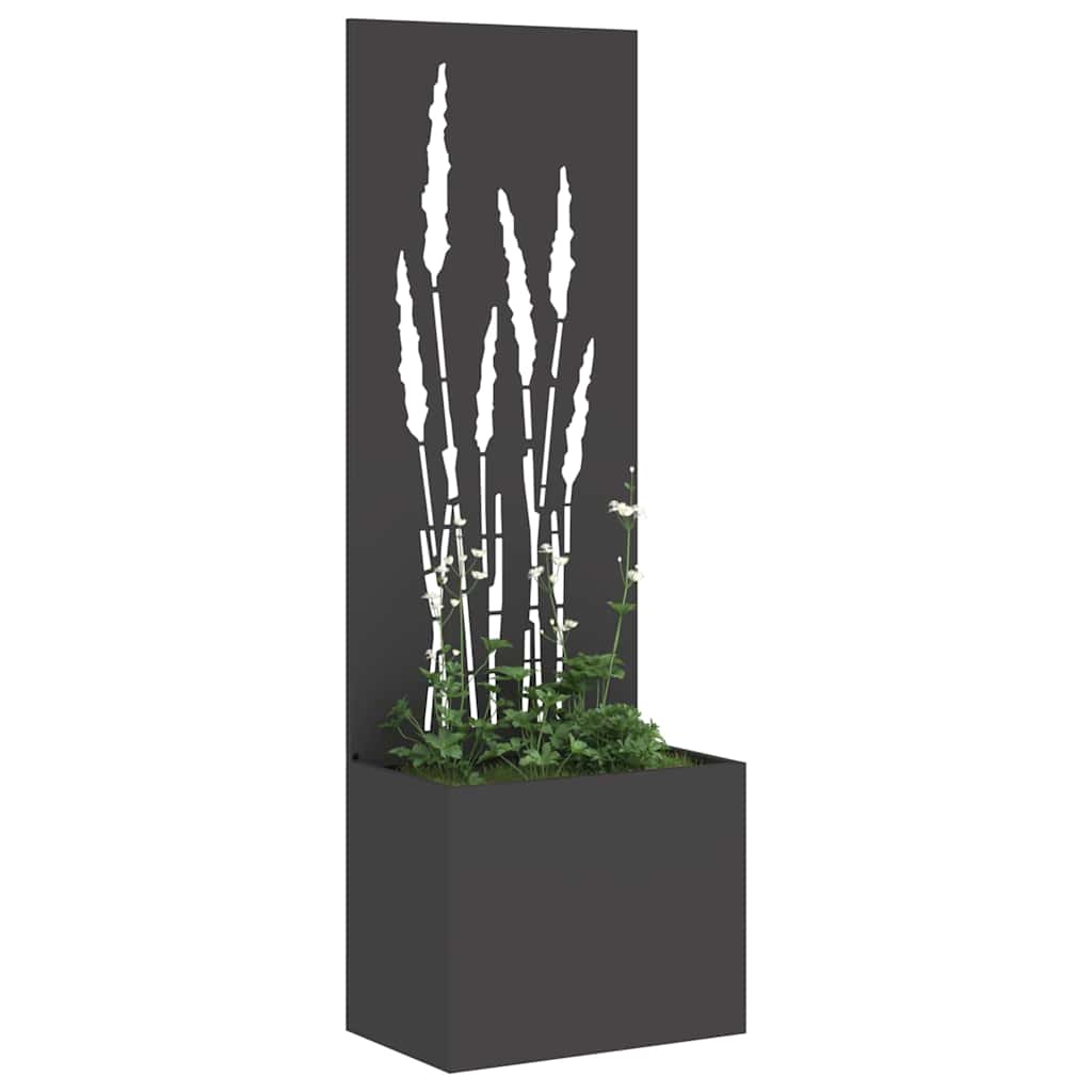 Garten Sichtschutz-Leinwand Schwarz 50 x 150 cm