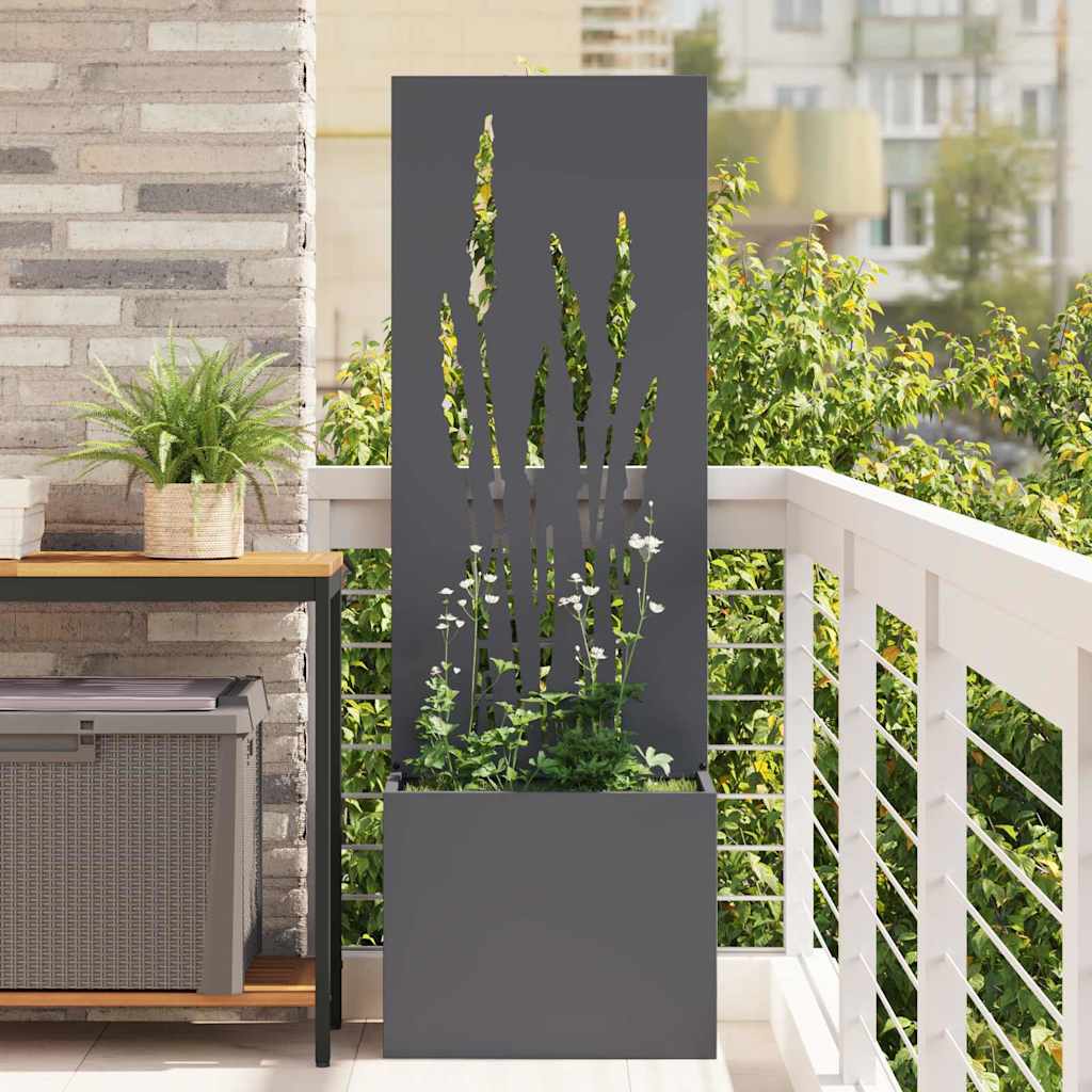 Garten Sichtschutz-Leinwand Anthrazit 50 x 150 cm