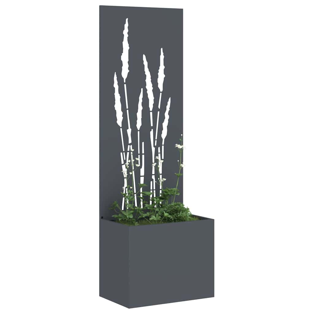 Garten Sichtschutz-Leinwand Anthrazit 50 x 150 cm