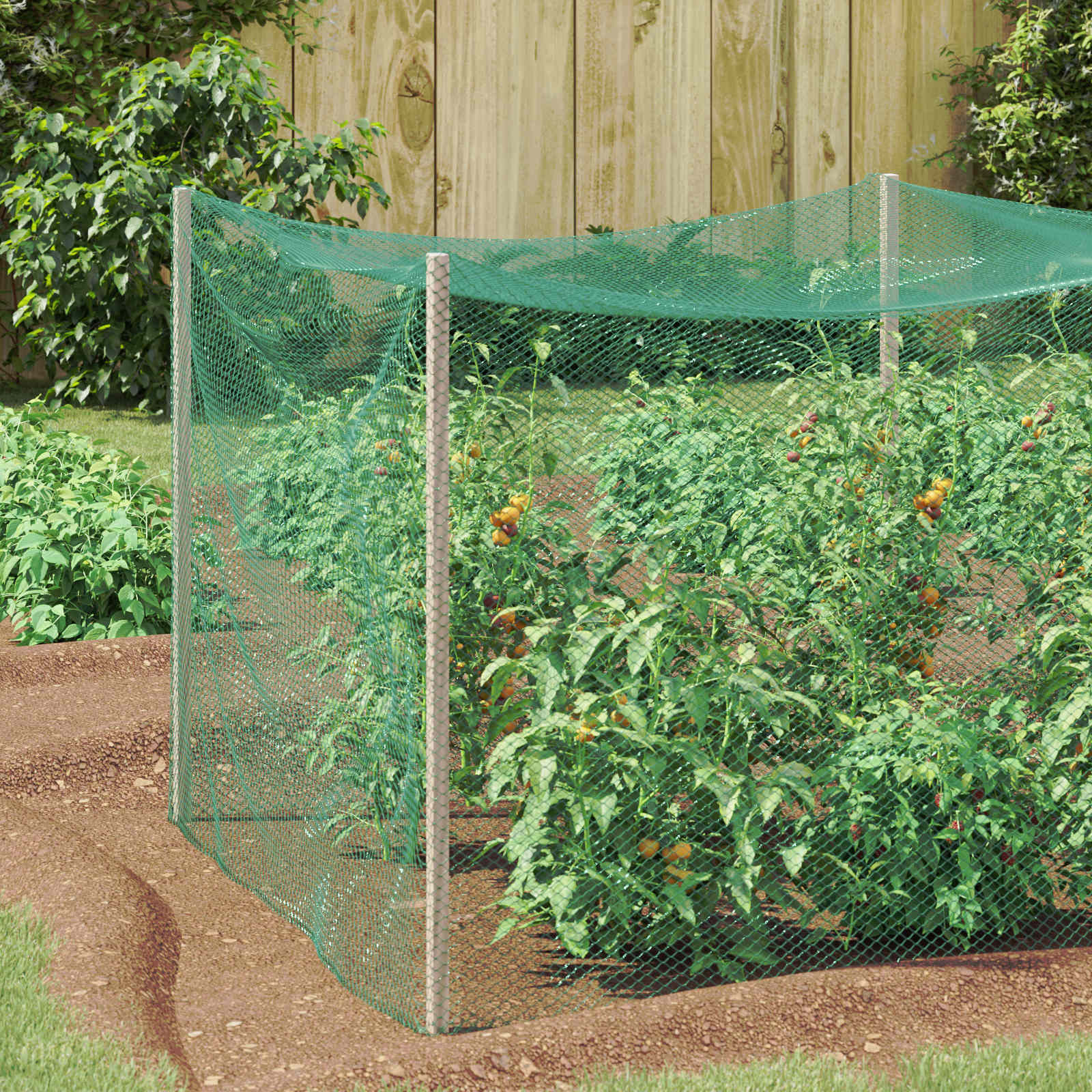 Vogelschutznetz Grün 2 x 25 m Polyethylen