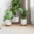 Pflanzenhocker 3 pcs Braun Mahagoni Holz