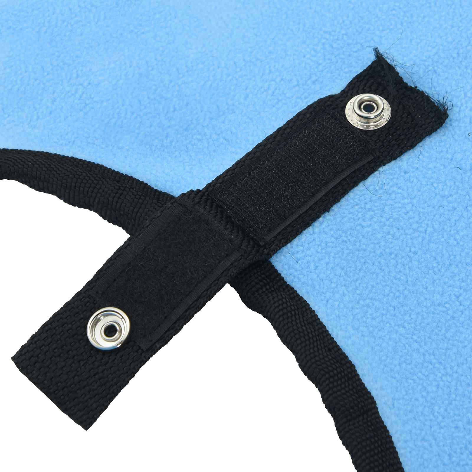 Pferdedecke Volles Aqua 115 cm Polyester