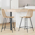 Barstuhl 2 pcs 44,5 x 54,5 x 97,5 cm Rattan und Eisen
