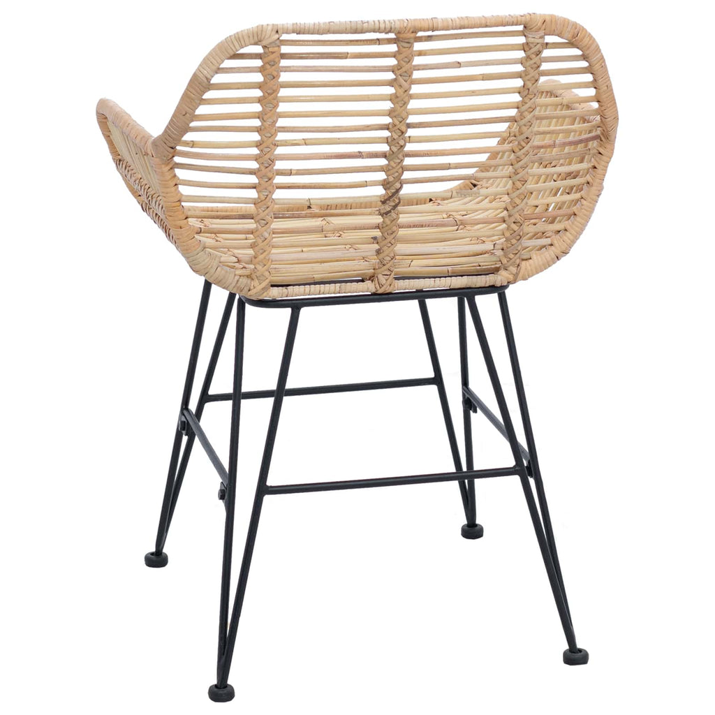 Esszimmerstuhl 2 pcs Rattan und Eisen Natur 55 x 50 x 74 cm