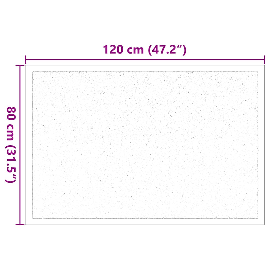 Fußmatte Anthrazit 120 x 80 x 1,2 cm Teddystoff