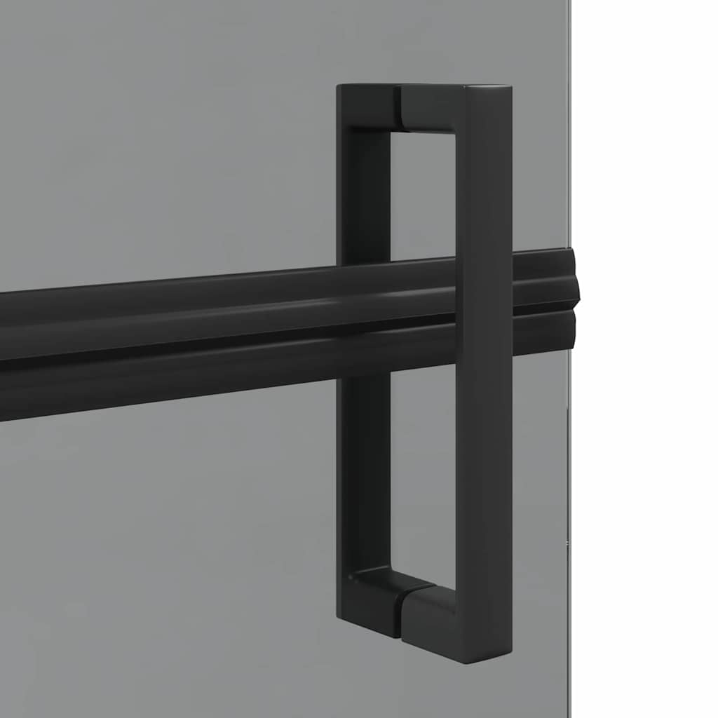 Walk-In Duschwand Schwarz 100 x 6,5 x 190 cm