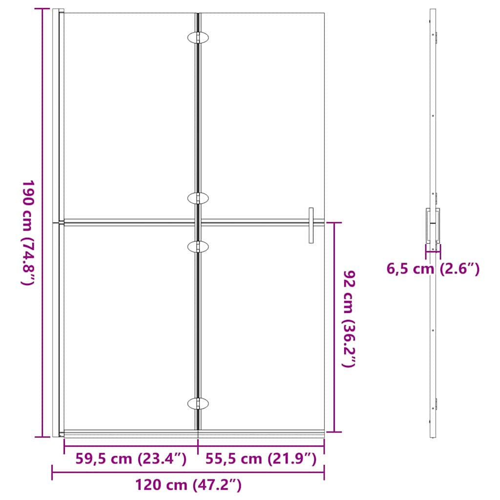 Walk-In Duschwand Schwarz 120 x 6,5 x 190 cm