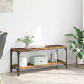 TV-Schränk Altholz 100x33x41cm Verbundholz und Eisen