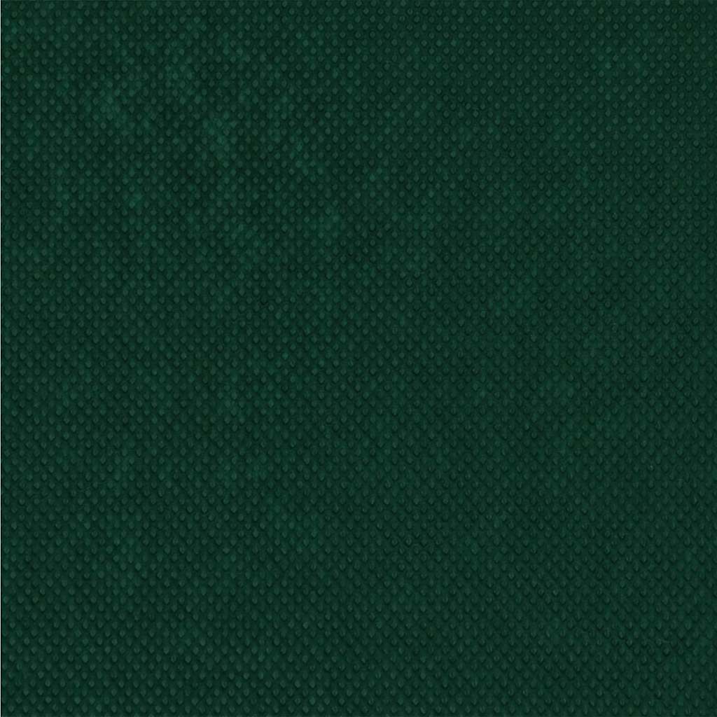 Winterschutz fur Pflanzen Grün 100 x 1,6 m Vliesstoff